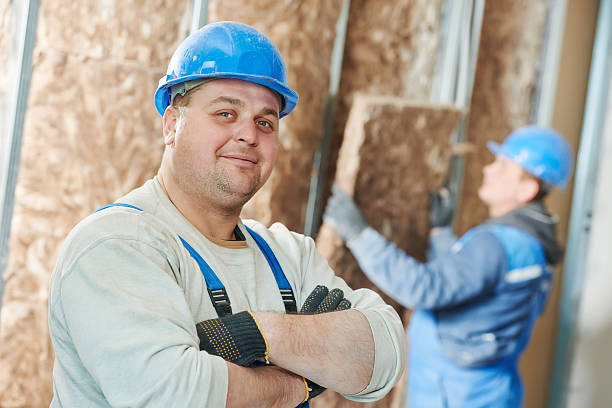 Best Insulation Removal  in Maple Plain, MN